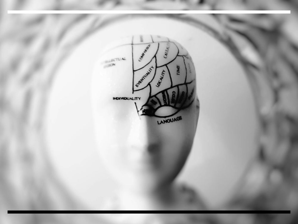 Uma escultura branca de uma cabeça humana com um desenho de mapeamento cerebral impresso nela, refletida em um espelho ornamentado.